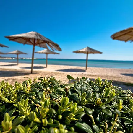 דירה Basic ויר