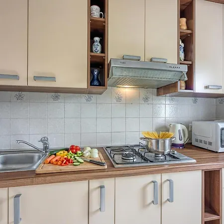 Basic Apartment