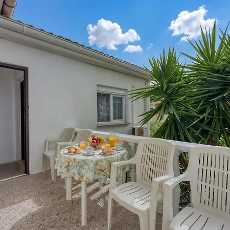 Basic Apartment