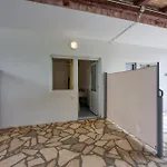 Basic Apartment