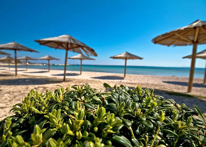 Apartamento Basic Vir