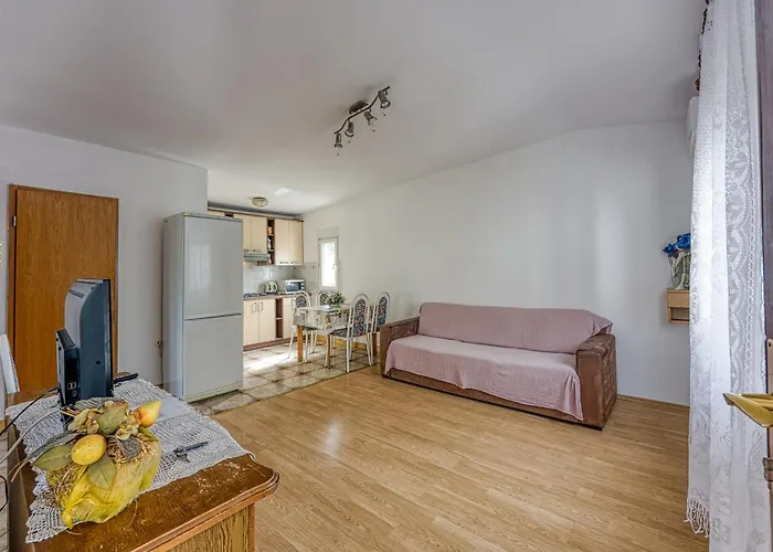 Basic Apartamento Vir